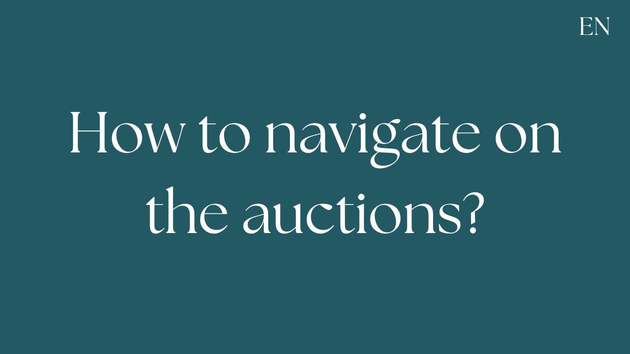 How to navigate on the auctions ?